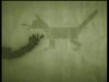 cat.jpg