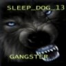 SLEEP_DOG_13